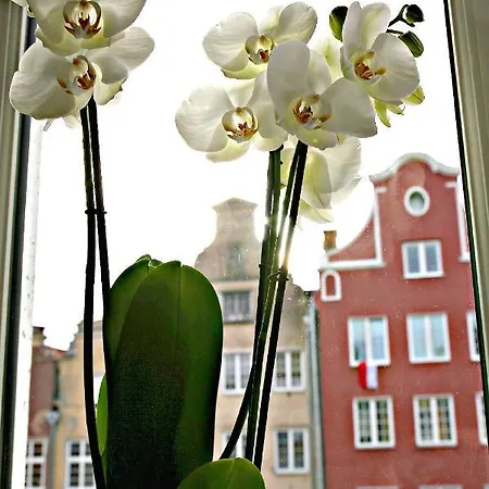 Apartament Art Old Town Gdansk